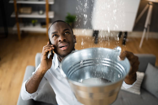 Best Local water damage restoration  in Brainerd, MN