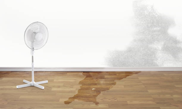 Best Flood restoration services  in Brainerd, MN