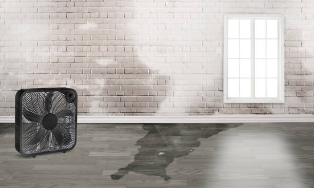 Best 24/7 water damage repair  in Brainerd, MN